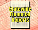 bingo_statewide_financial_reports_logo
