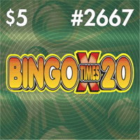 View Ticket Details for Bingo Times 20