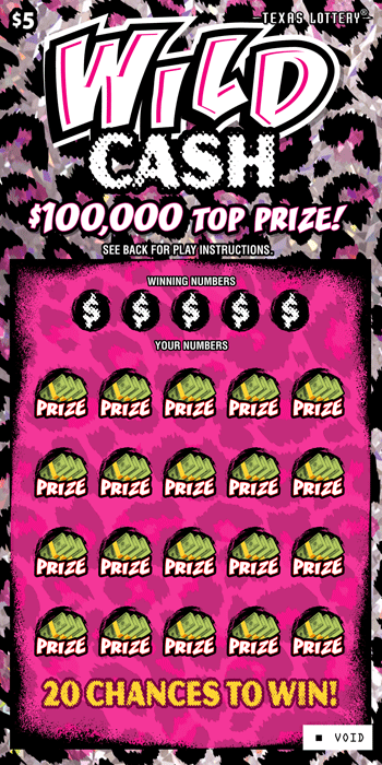Image of Front of Wild Cash Ticket