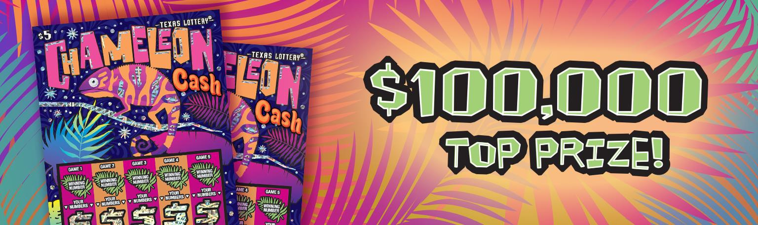 Chameleon Cash Banner